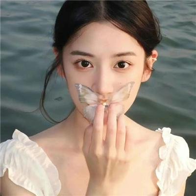 蝴蝶春梦封面