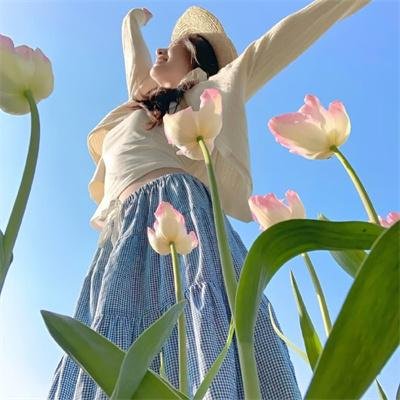 浴血黑帮第六季封面